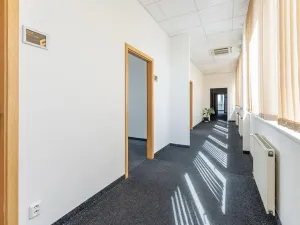 Pronájem kanceláře, Praha - Strašnice, V olšinách, 18 m2