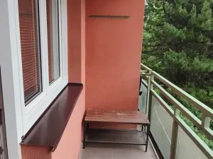Pronájem bytu 1+kk, Ostrava, Gen. Píky, 29 m2