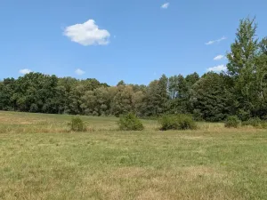 Prodej zahrady, Bukovec, 863 m2