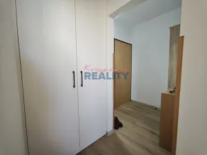 Pronájem bytu 1+1, České Budějovice - České Budějovice 2, N. Frýda, 42 m2