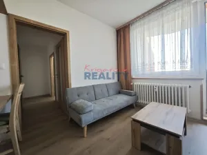 Pronájem bytu 1+1, České Budějovice - České Budějovice 2, N. Frýda, 42 m2