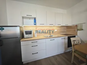 Pronájem bytu 1+1, České Budějovice - České Budějovice 2, N. Frýda, 42 m2