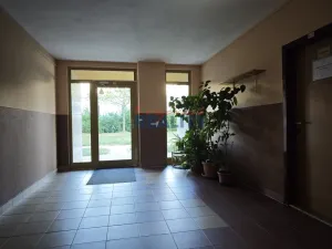 Pronájem bytu 1+1, České Budějovice - České Budějovice 2, N. Frýda, 42 m2