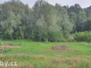 Dražba rodinného domu, Havířov, Stará, 180 m2