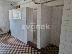 Pronájem skladu, Kunovice, Na Záhonech, 1000 m2