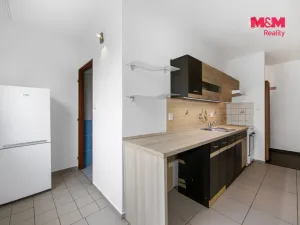 Pronájem bytu 1+1, Mnichov, 35 m2