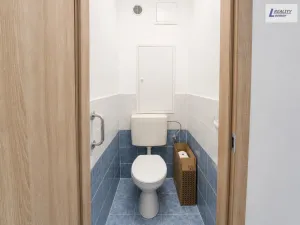 Pronájem bytu 2+1, Příbram - Příbram VII, Politických vězňů, 54 m2