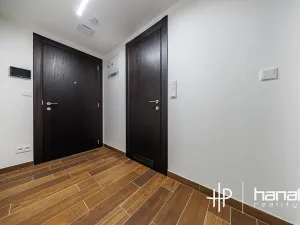 Pronájem bytu 1+kk, Olomouc, Třída Jiřího Pelikána, 33 m2