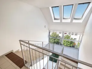 Prodej bytu 5+kk, Plzeň, Otýlie Beníškové, 199 m2