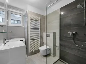 Pronájem bytu 1+kk, Plzeň, Pod Záhorskem, 447 m2