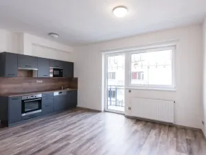 Pronájem bytu 1+kk, Plzeň, Pod Záhorskem, 447 m2