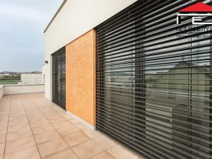 Pronájem rodinného domu, Moravany, Brněnská, 216 m2