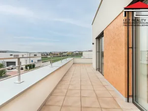 Pronájem rodinného domu, Moravany, Brněnská, 216 m2