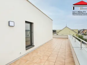 Pronájem rodinného domu, Moravany, Brněnská, 216 m2