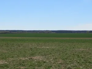 Dražba pole, Běrunice, 15140 m2