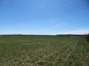 Dražba pole, Běrunice, 15140 m2