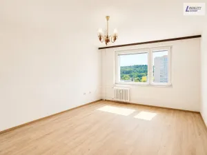 Pronájem bytu 1+1, Příbram - Příbram VIII, Budovatelů, 43 m2