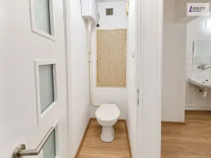 Pronájem bytu 1+1, Příbram - Příbram VIII, Budovatelů, 43 m2