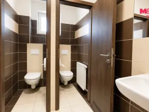 Prodej ubytování, Slavonice, Nádražní, 440 m2