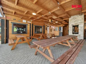 Prodej ubytování, Nová Bystřice - Albeř, 259 m2