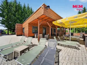 Prodej ubytování, Nová Bystřice - Albeř, 259 m2