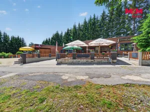 Prodej ubytování, Nová Bystřice - Albeř, 259 m2