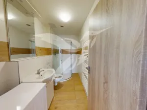 Pronájem bytu 2+1, Dnešice, Dnešice, 49 m2