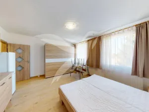 Pronájem bytu 1+kk, Dnešice, Dnešice, 25 m2