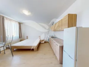 Pronájem bytu 1+kk, Dnešice, Dnešice, 25 m2