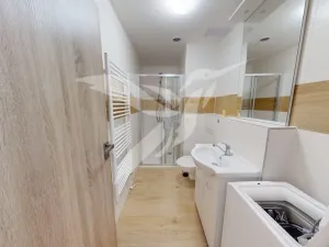 Pronájem bytu 1+kk, Dnešice, Dnešice, 25 m2