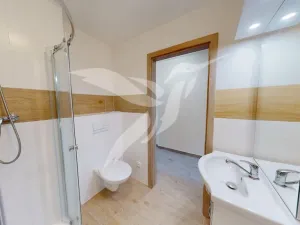 Pronájem bytu 3+kk, Dnešice, Dnešice, 44 m2