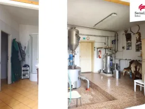 Prodej vícegeneračního domu, Telč - Telč-Podolí, Tyršova, 432 m2