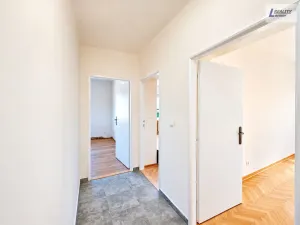 Pronájem bytu 2+1, Nečín, 65 m2