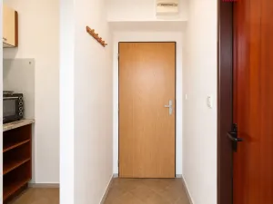 Pronájem bytu 1+kk, Dašice, Křičenského, 25 m2