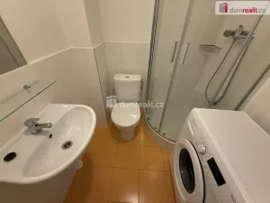 Pronájem bytu 1+kk, Praha - Smíchov, Na Valentince, 42 m2