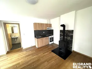 Pronájem bytu 1+kk, Dolní Poustevna, Karlínská, 35 m2