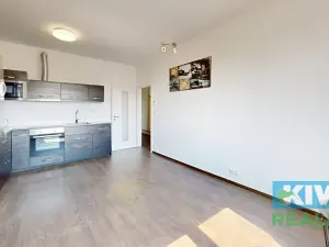Pronájem bytu 2+kk, Ostrava, Důlní, 55 m2