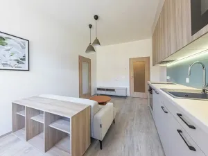 Pronájem bytu 2+kk, Praha - Nusle, Svatoslavova, 49 m2