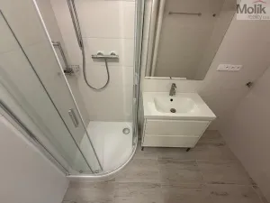 Pronájem bytu 2+1, Litvínov - Horní Litvínov, Valdštejnská, 52 m2