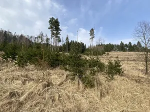 Prodej louky, Městečko Trnávka - Lázy, 1410 m2