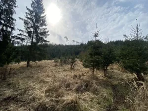 Prodej louky, Městečko Trnávka - Lázy, 1410 m2