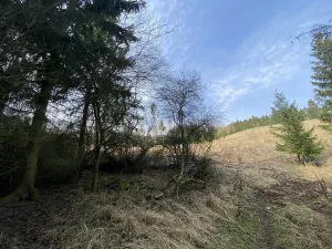 Prodej louky, Městečko Trnávka - Lázy, 1410 m2