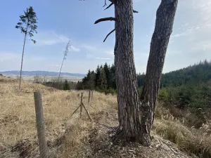 Prodej louky, Městečko Trnávka - Lázy, 1410 m2