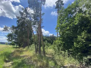 Prodej lesa, Slabčice - Nemějice, 1272 m2