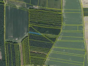 Prodej lesa, Slabčice - Nemějice, 1004 m2
