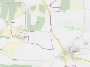 Prodej lesa, Slabčice - Nemějice, 1004 m2