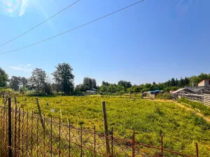 Pronájem zahrady, Dolní Bousov, 50 m2