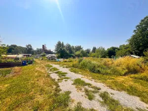 Pronájem zahrady, Dolní Bousov, 50 m2