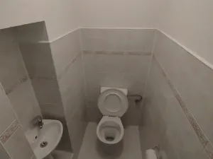 Pronájem bytu 2+1, Prostějov, Daliborka, 72 m2
