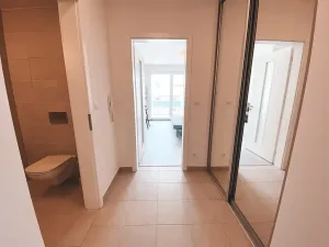 Pronájem bytu 1+kk, Praha - Žižkov, Olgy Havlové, 45 m2
